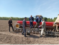 В Юсьвинском муниципальном округе завершена посевная кампания