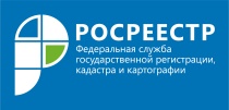 Краевой Росреестр запустил новый проект  по работе с пространственными данными