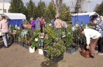 В Юсьвинском муниципальном округе пройдут осенние сельскохозяйственные ярмарки