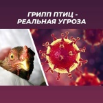 ПАМЯТКА населению по профилактике птичьего гриппа