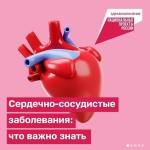 В России проходит Неделя профилактики сердечно-сосудистых заболеваний