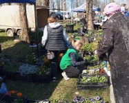 В Юсьвинском муниципальном округе пройдут традиционные весенние сельскохозяйственные ярмарки