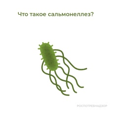 Памятка для предприятий общественного питания по профилактике сальмонеллеза