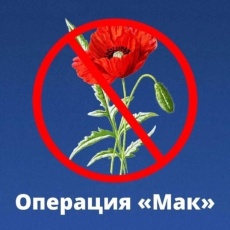 В период с 21 по 30 июля 2025 года в Пермском крае проводится первый этап межведомственной комплексной оперативно-профилактической операции «Мак-2025»
