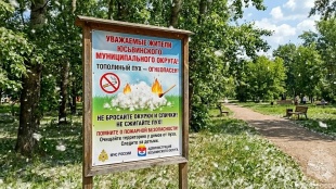 Тополиный пух - источник пожарной опаснoсти!