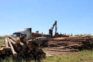 Заседание Межведомственной комиссии по противодействию незаконным заготовкам и обороту древесины на территории Юсьвинского муниципального округа