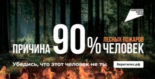 Стартовала ежегодная Федеральная информационная противопожарная кампания "Останови огонь!"