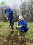 Жители Юсьвинского округа участвуют в Международной акции "Сад памяти"