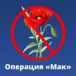 В период с 21 по 30 июля 2025 года в Пермском крае проводится первый этап межведомственной комплексной оперативно-профилактической операции «Мак-2025»