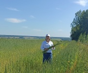Праздник "Зажинки". История