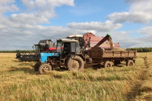 В добрый час: аграрии Юсьвинского округа приступили к уборке урожая
