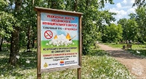 Внимание,тополиный пух!