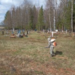 На территории Юсьвинского округа была проведена акарицидная обработка против клещей